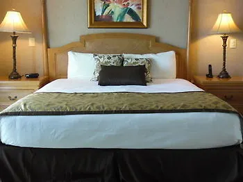 El Cantil Condominiums Resort 코수멜